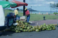 Obststand auf der Strandstraße in Puerto Plata