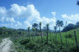 Druch das Hinterland bei Sosua