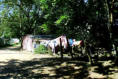 Hütten im Dorf Asencion