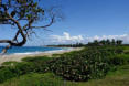 Am Strand bei Cabarete